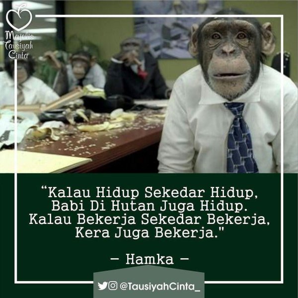 офисная обезьяна