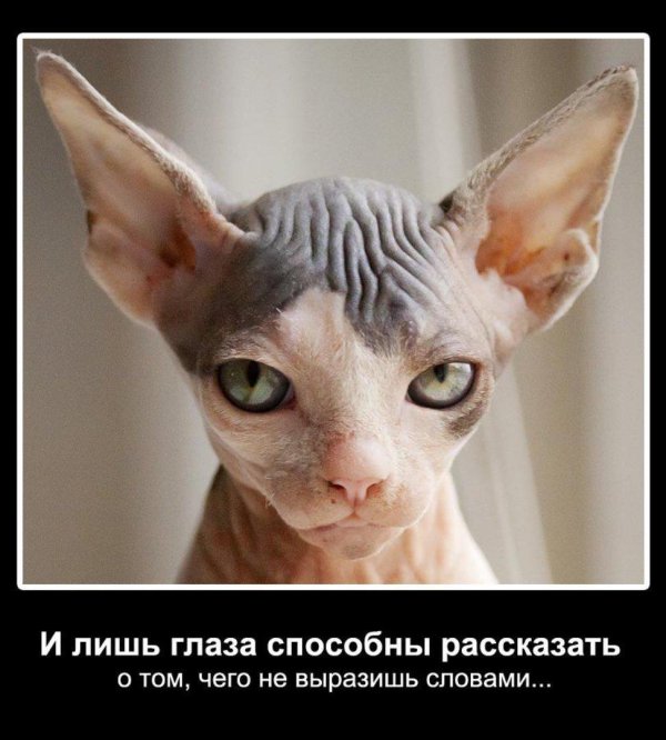 Сфинкс