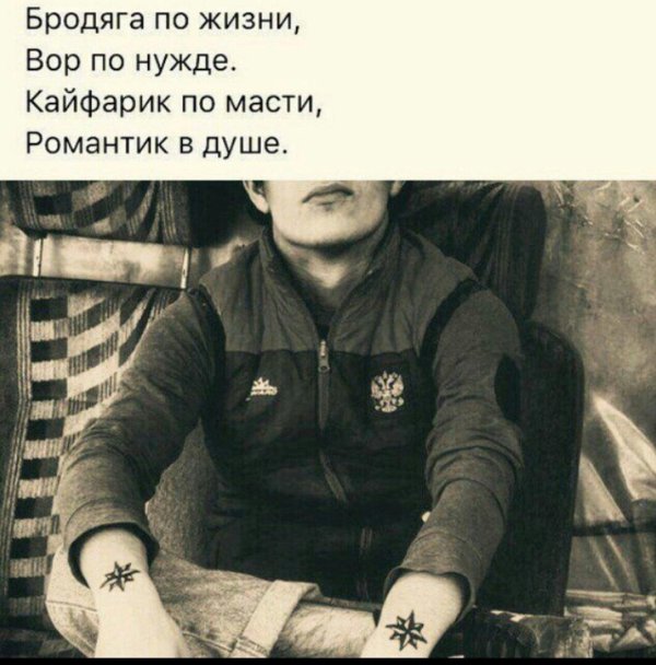 бродяга жизнь