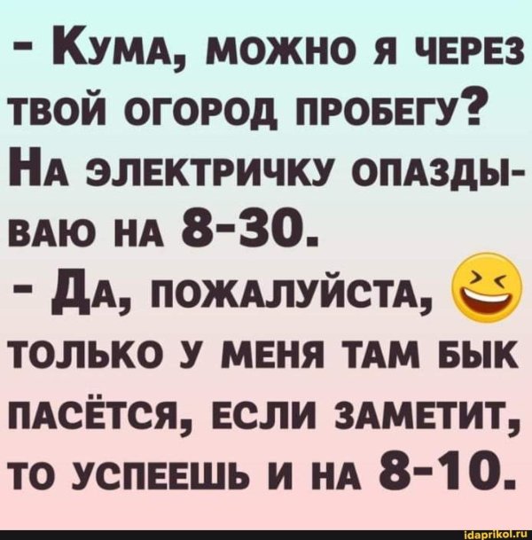 веселые шутки
