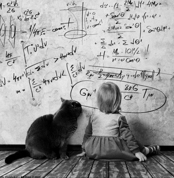 кошка математик