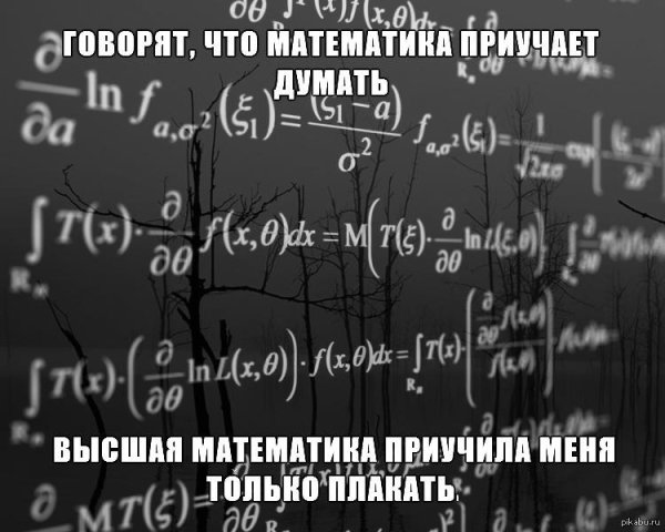 высшая математика