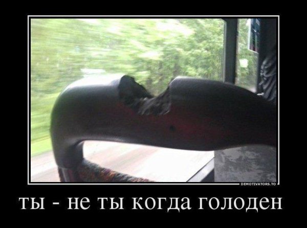 демотиватор обед