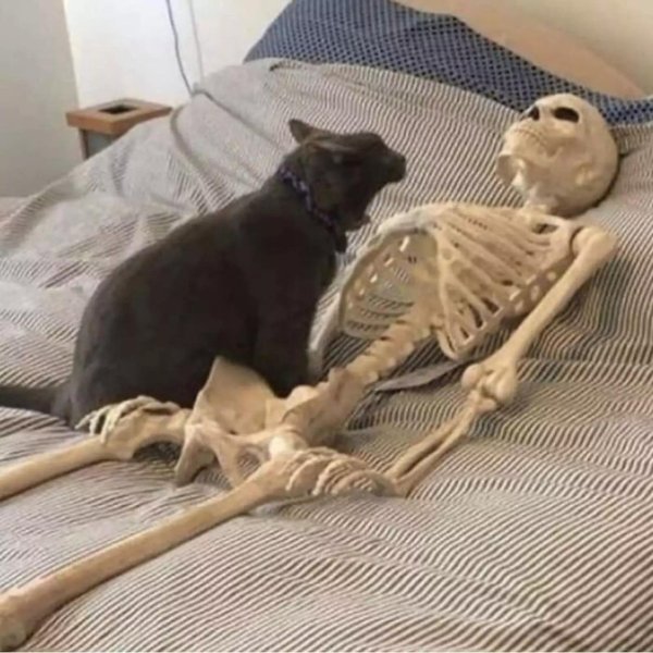 скелет в ожидании