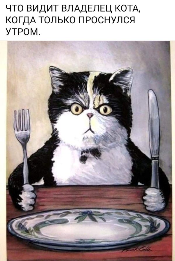 шутки про обеденный перерыв