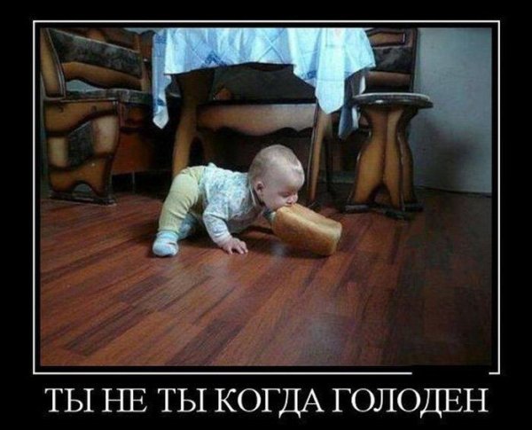 юмор открытки