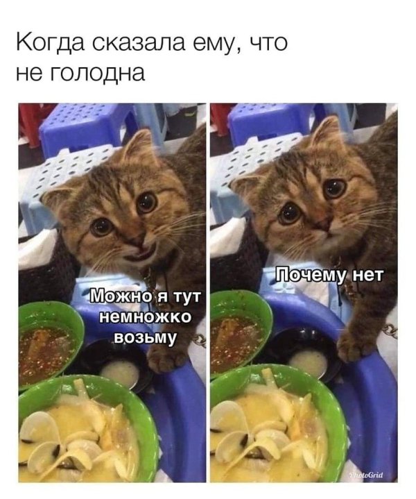мем с едой