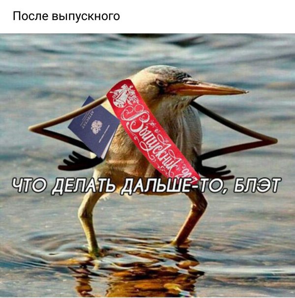 так блэт