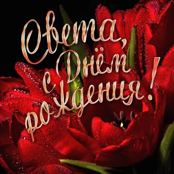 открытка светлана с днем рождения