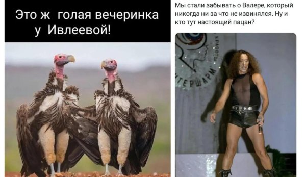 птица смешная