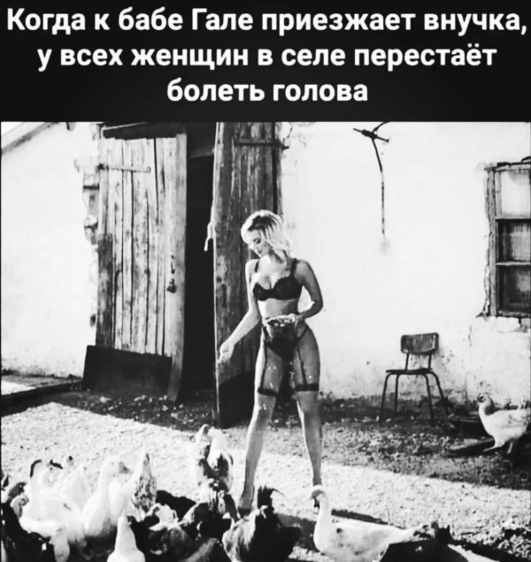 девушка в курятнике