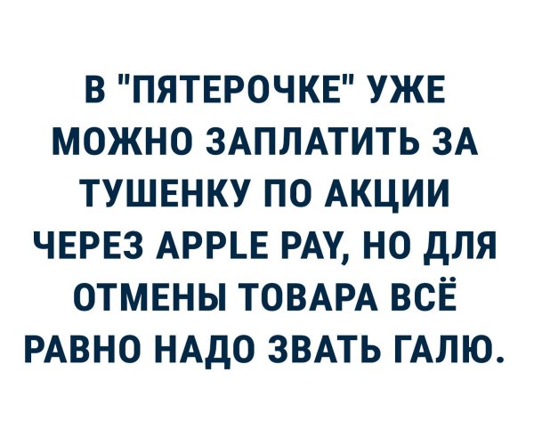 веселые высказывания