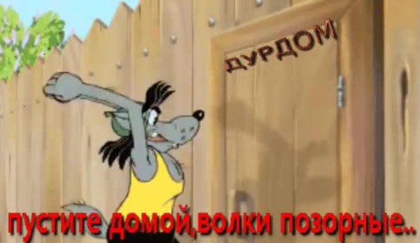 ну погоди волк