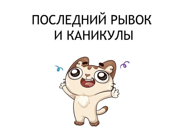 веселые стикеры