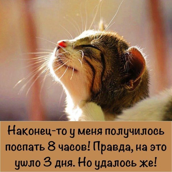 позитивные мотиваторы