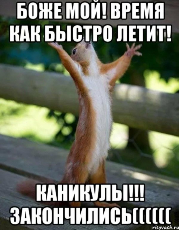 наконец то выходные