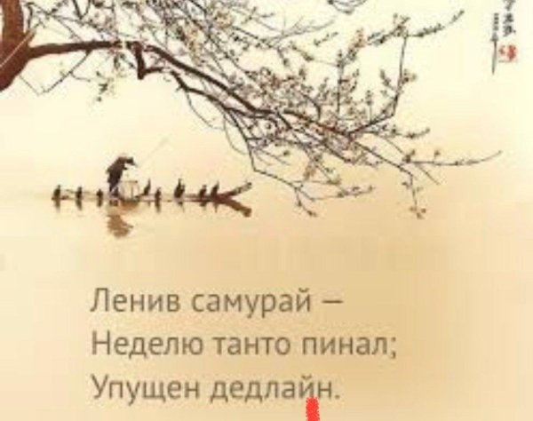 китайский фотограф дон хонгоай