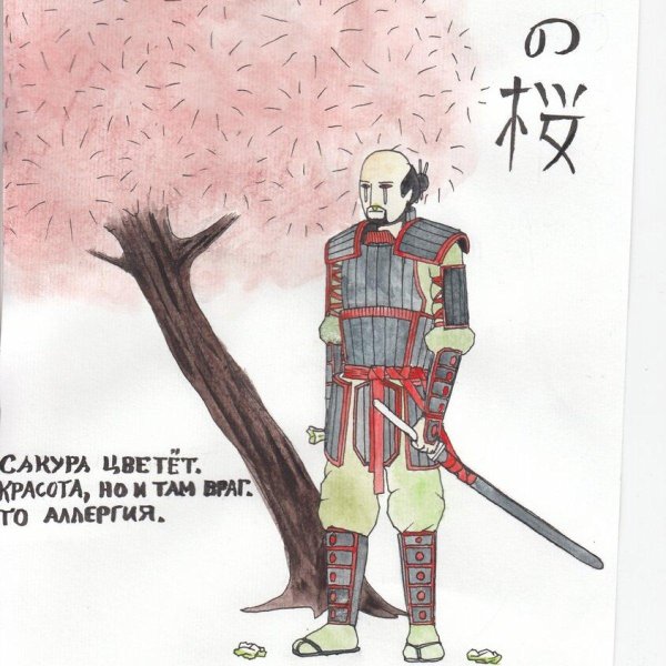 хокку смешные