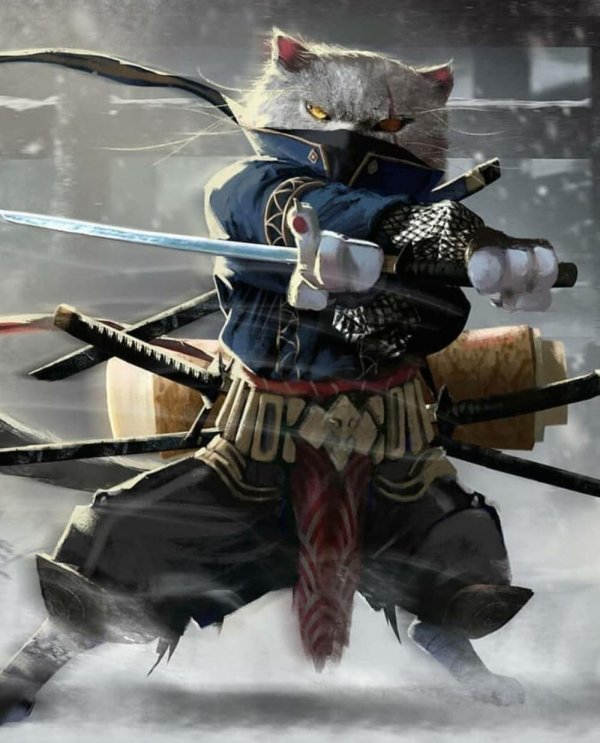 японские самураи