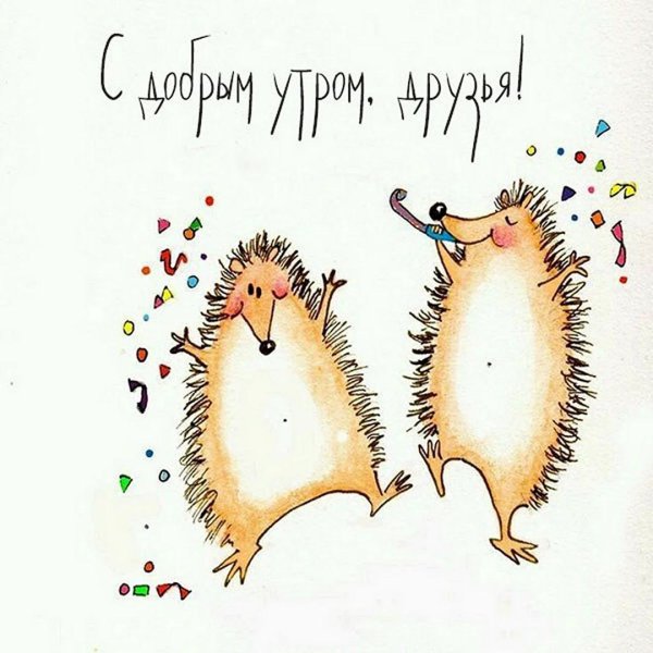 открытки с ёжиками прикольные