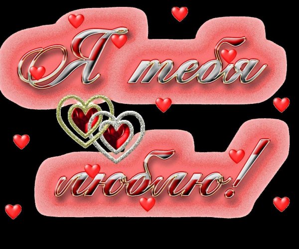 я тебя люблю любимый муж