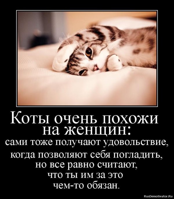 одно удовольствие