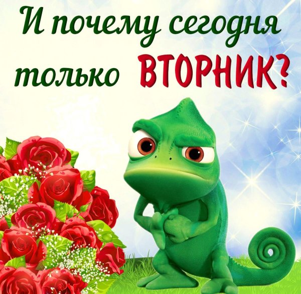 доброго вторника