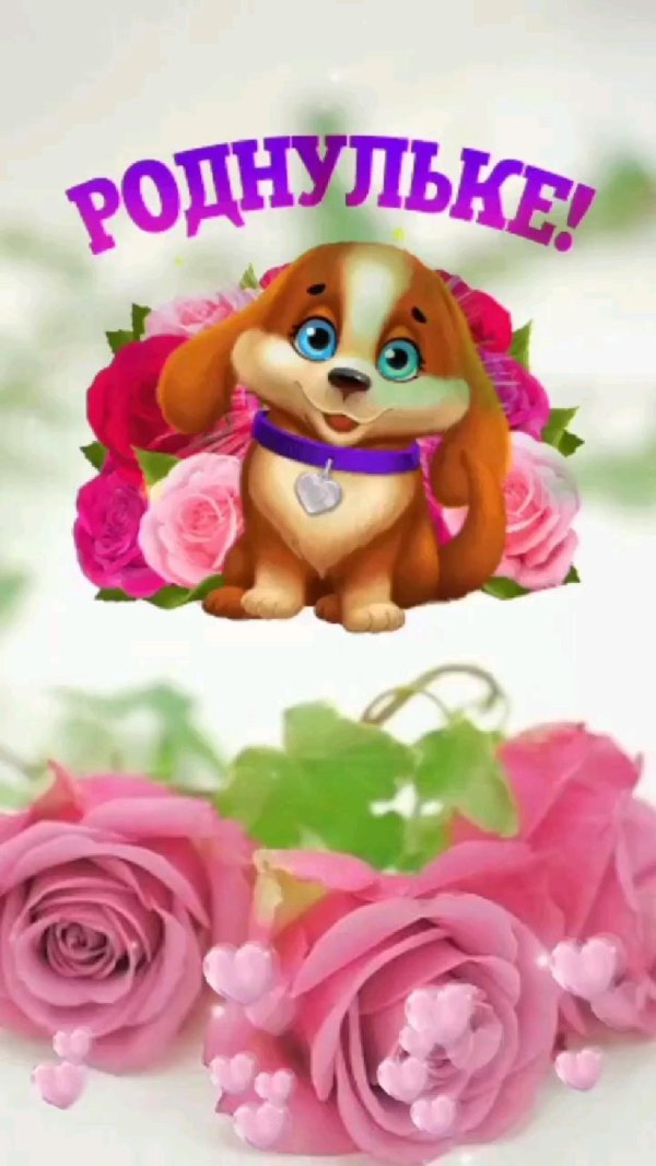 привет любимка