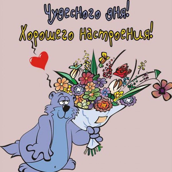 забавные открытки