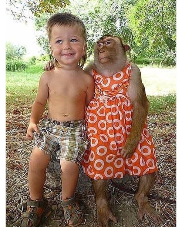 свекровь приколы