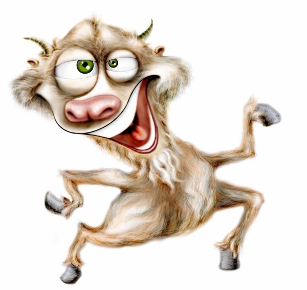 животные иллюстрации