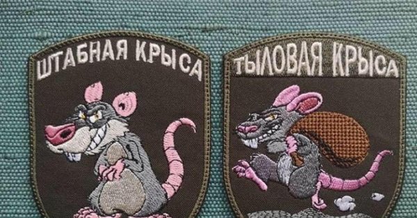 тыловая крыса