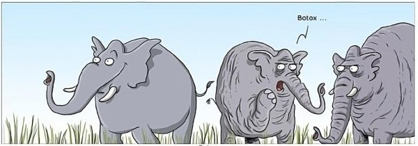 слон карикатура