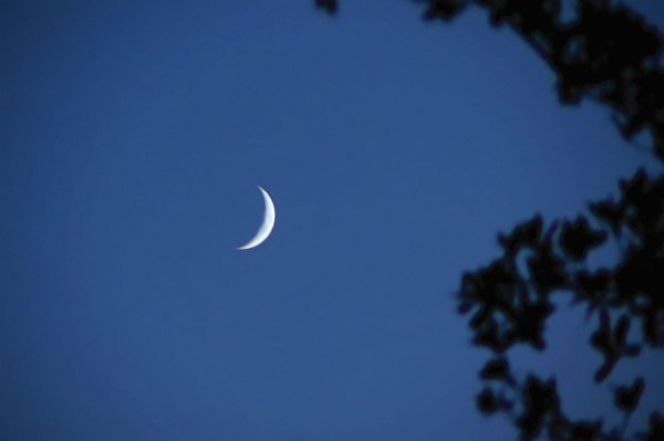 красивый полумесяц