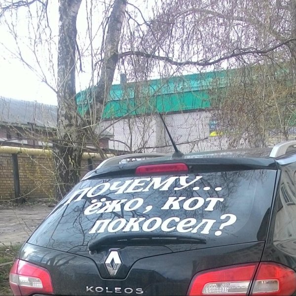 прикольные надписи на машинах