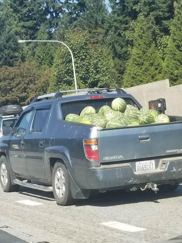 арбуз арбуз