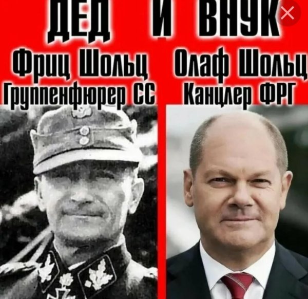 канцлер германии олаф шольц