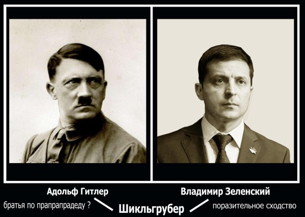 зеленский с усами гитлера
