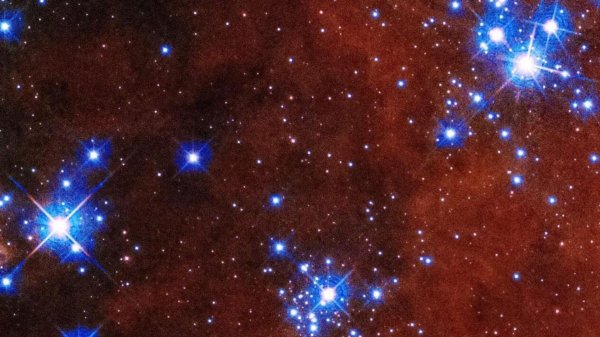 плеяда звезд