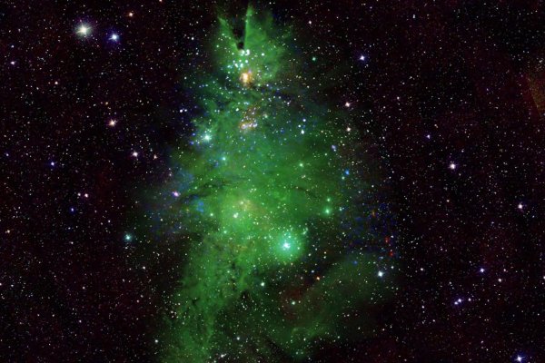 космическая елка