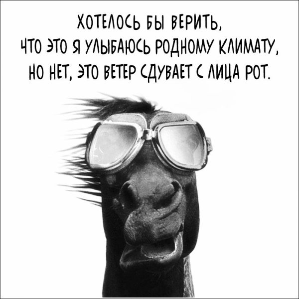 юмор смешной