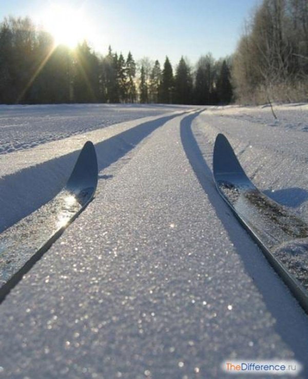 беговые лыжи