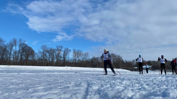 лыжная гонка