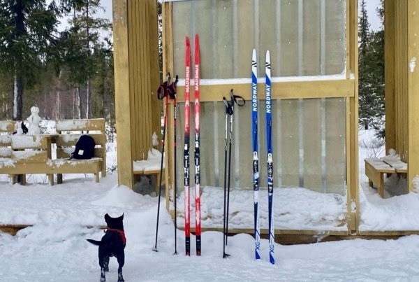 переделка горных лыж в туристические