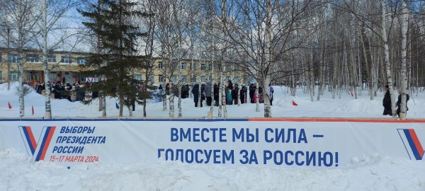 выборы выборы