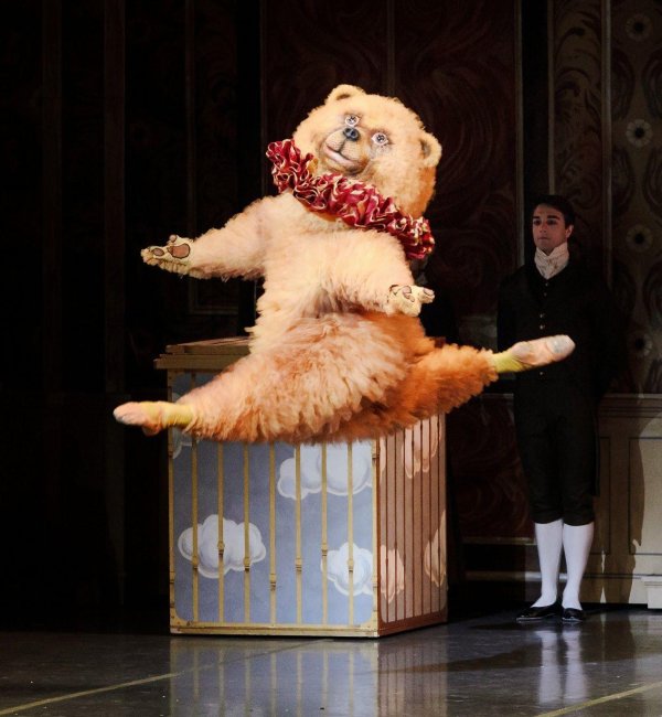 танцующие медведи