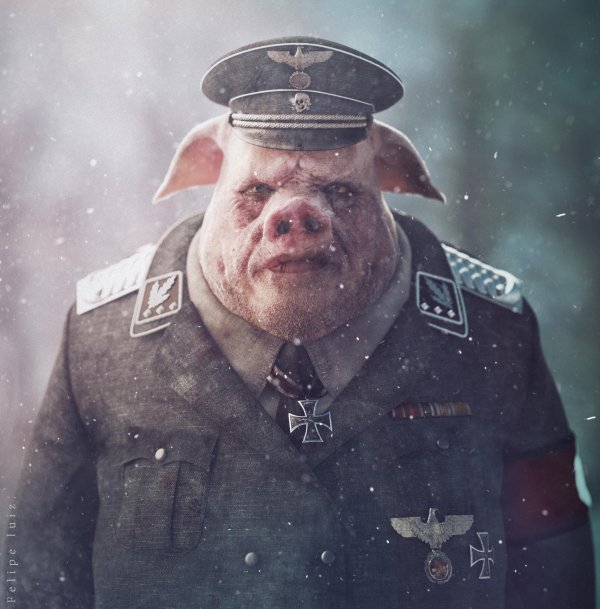 порошенко свин