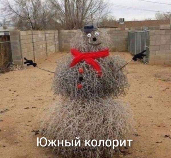 новый год без снега юмор