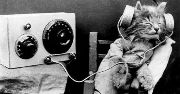 слушаем музыку