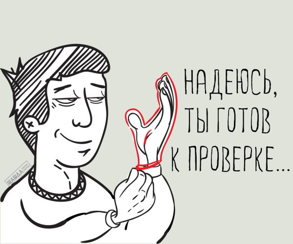 аудит приколы